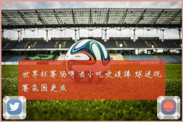 世界杯赛场啤酒小吃受追捧 球迷观赛氛围更浓
