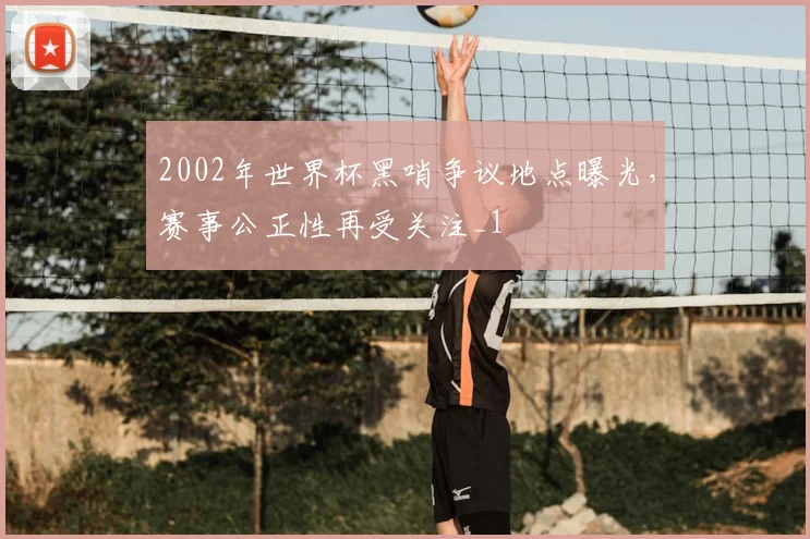 2002年世界杯黑哨争议地点曝光，赛事公正性再受关注_1
