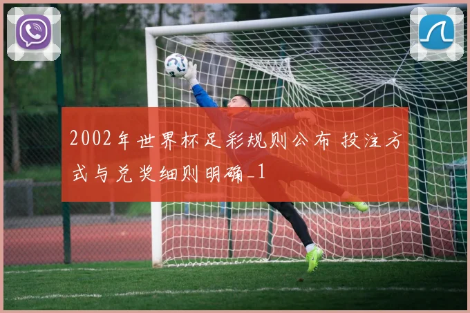 2002年世界杯足彩规则公布 投注方式与兑奖细则明确_1
