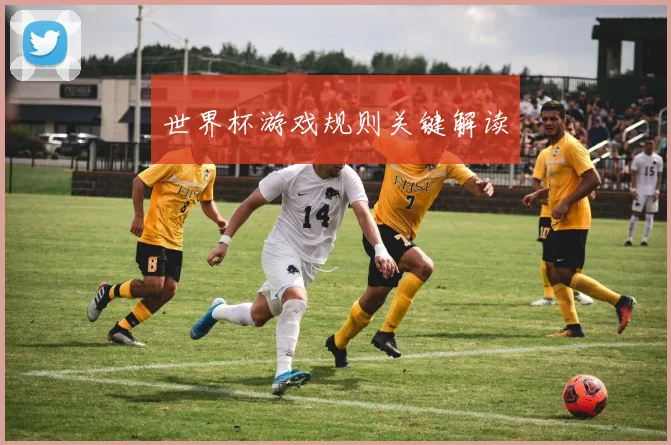 世界杯游戏规则关键解读